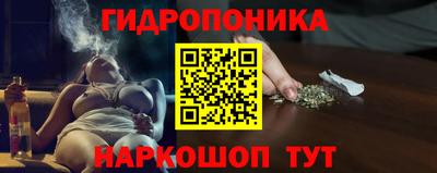 ECSTASY Камышлов