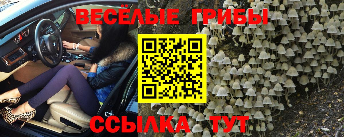 Галлюциногенные грибы Psilocybine cubensis Дальнегорск